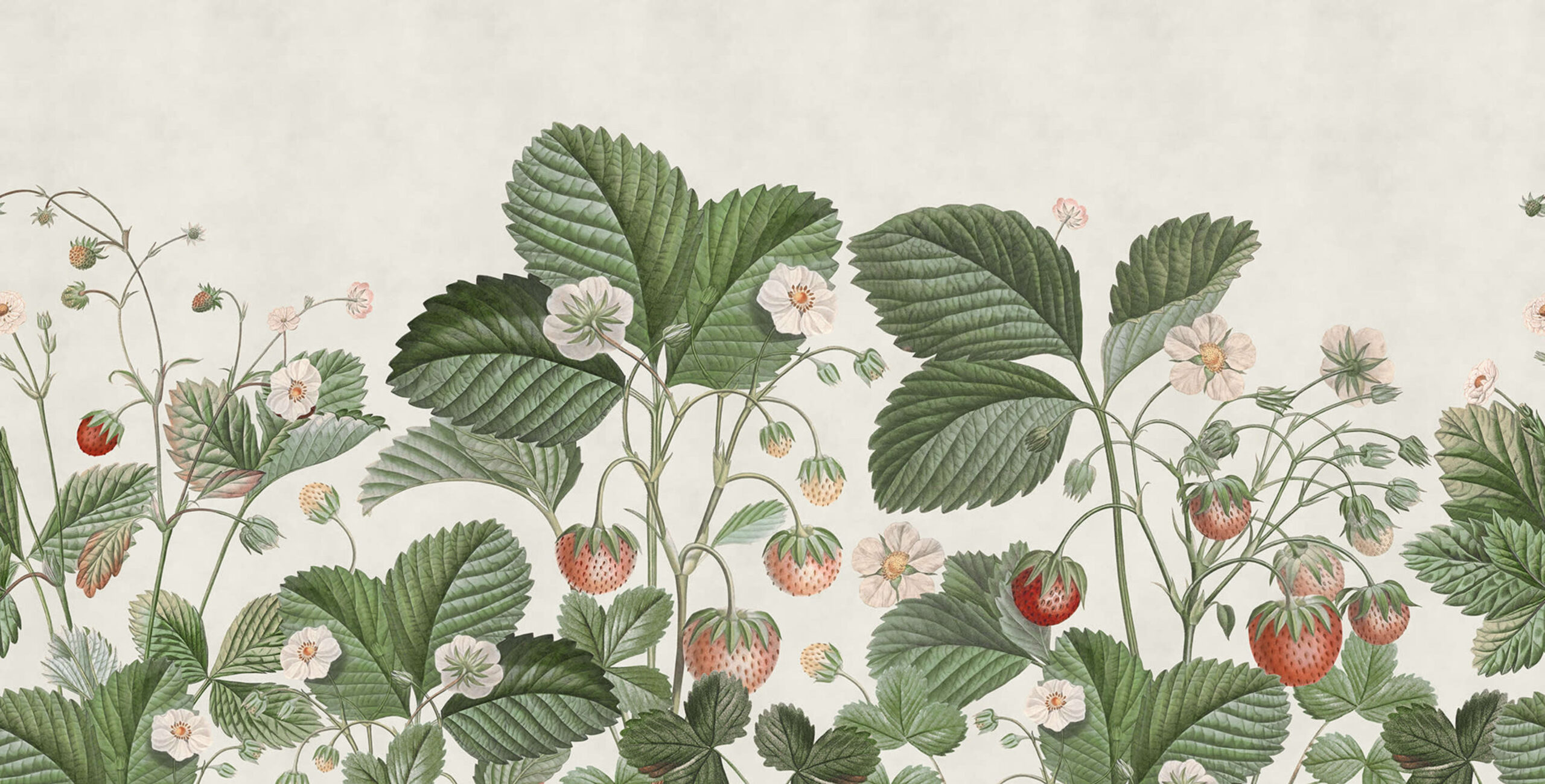 rbwr18697-3