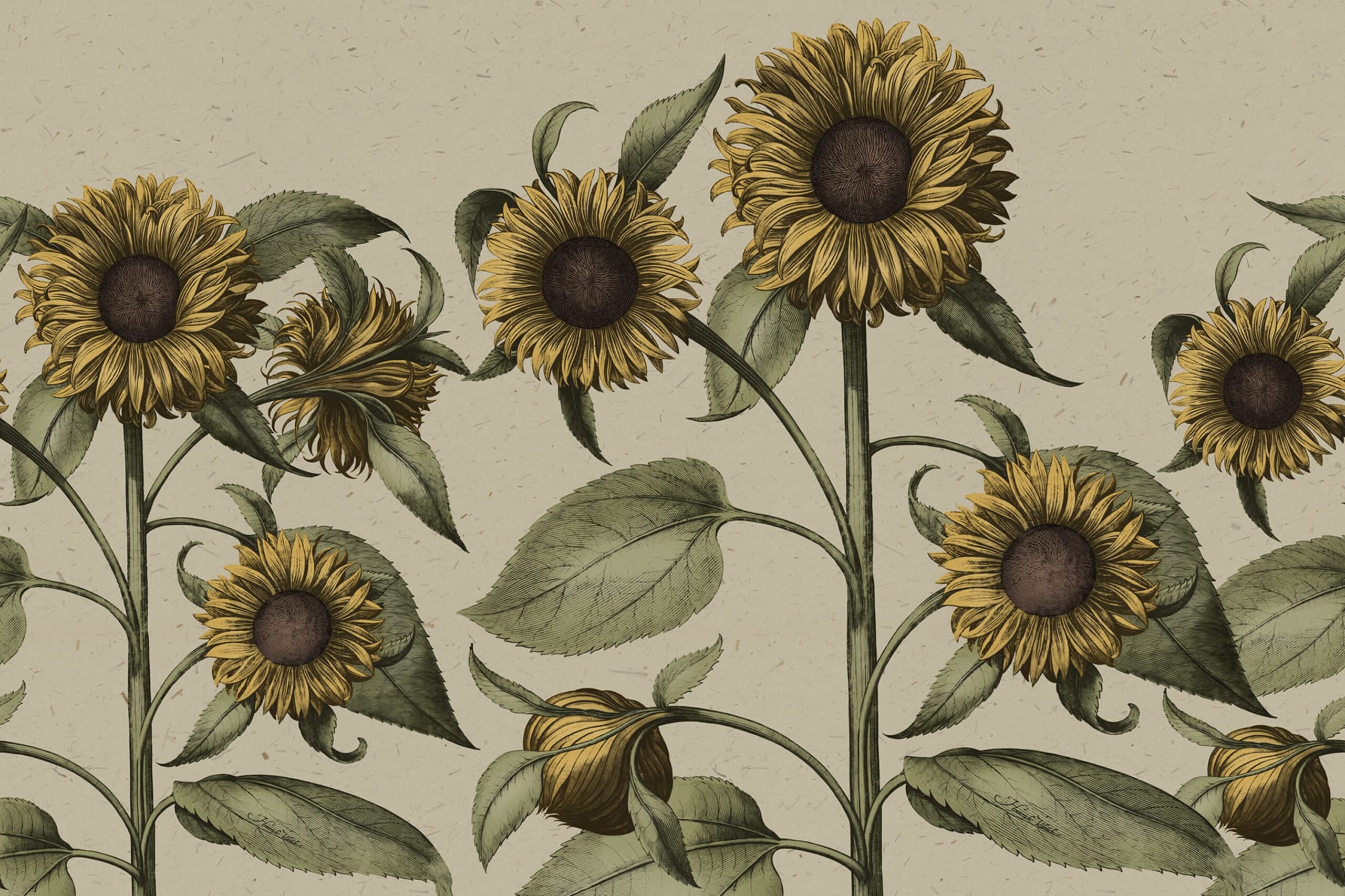 rbwr18698-3
