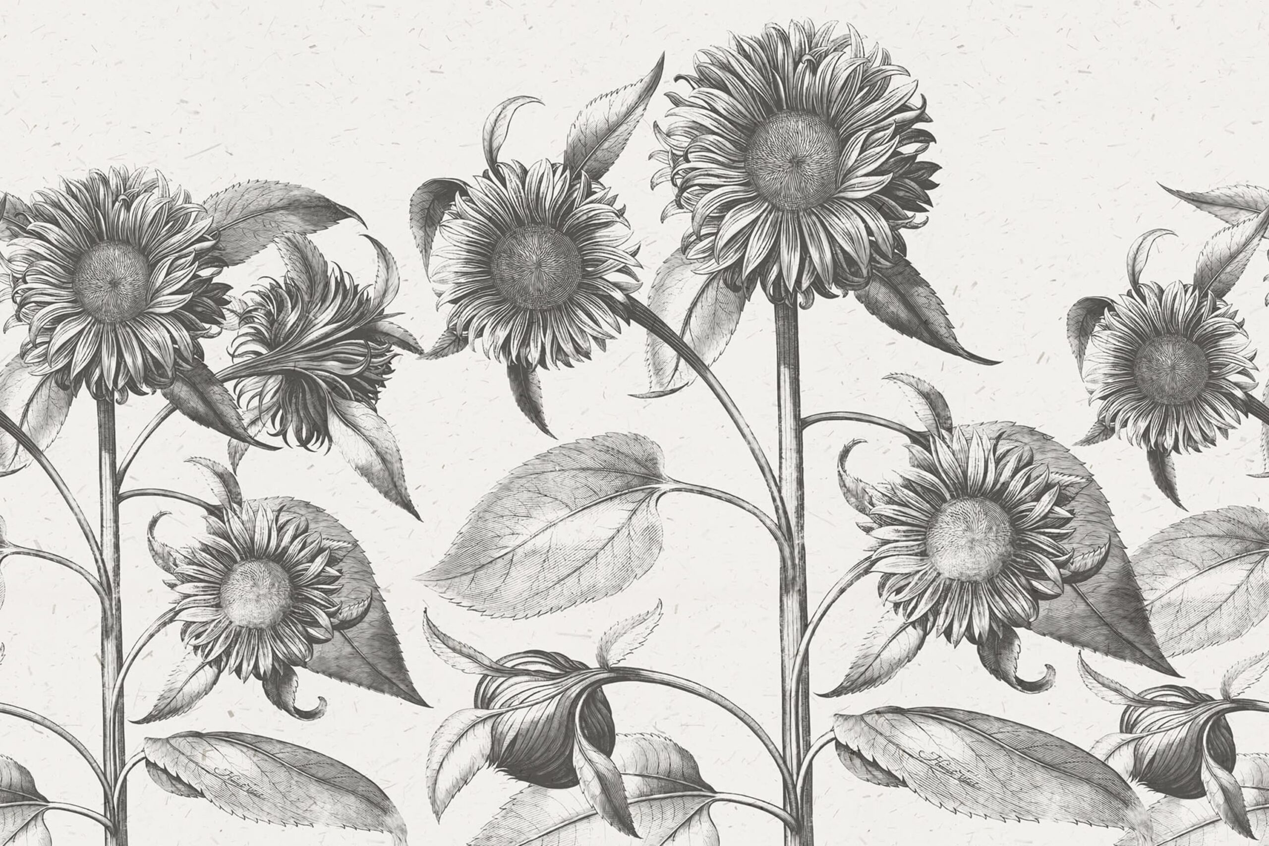 rbwr18699-3