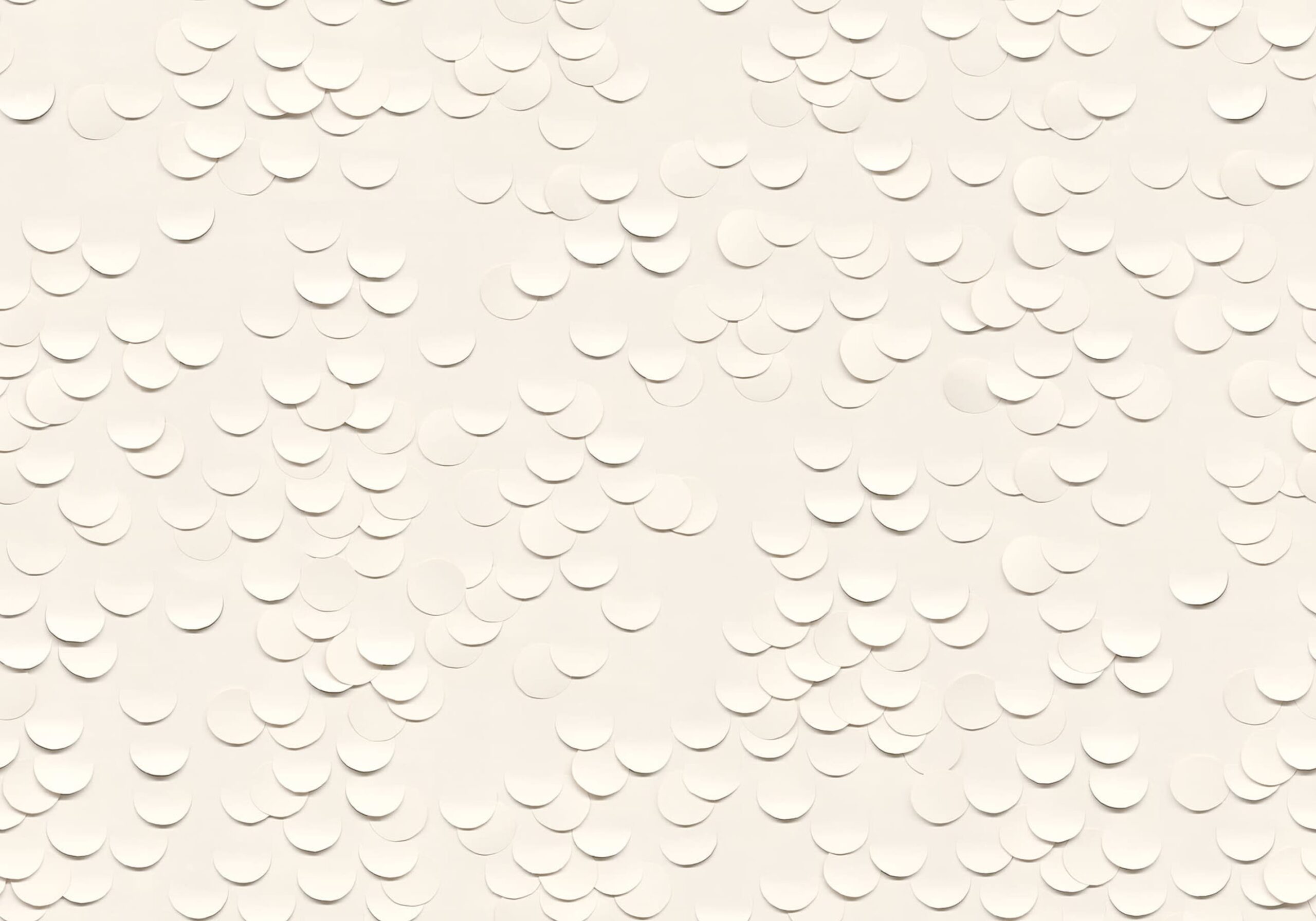 rbwr18737-3