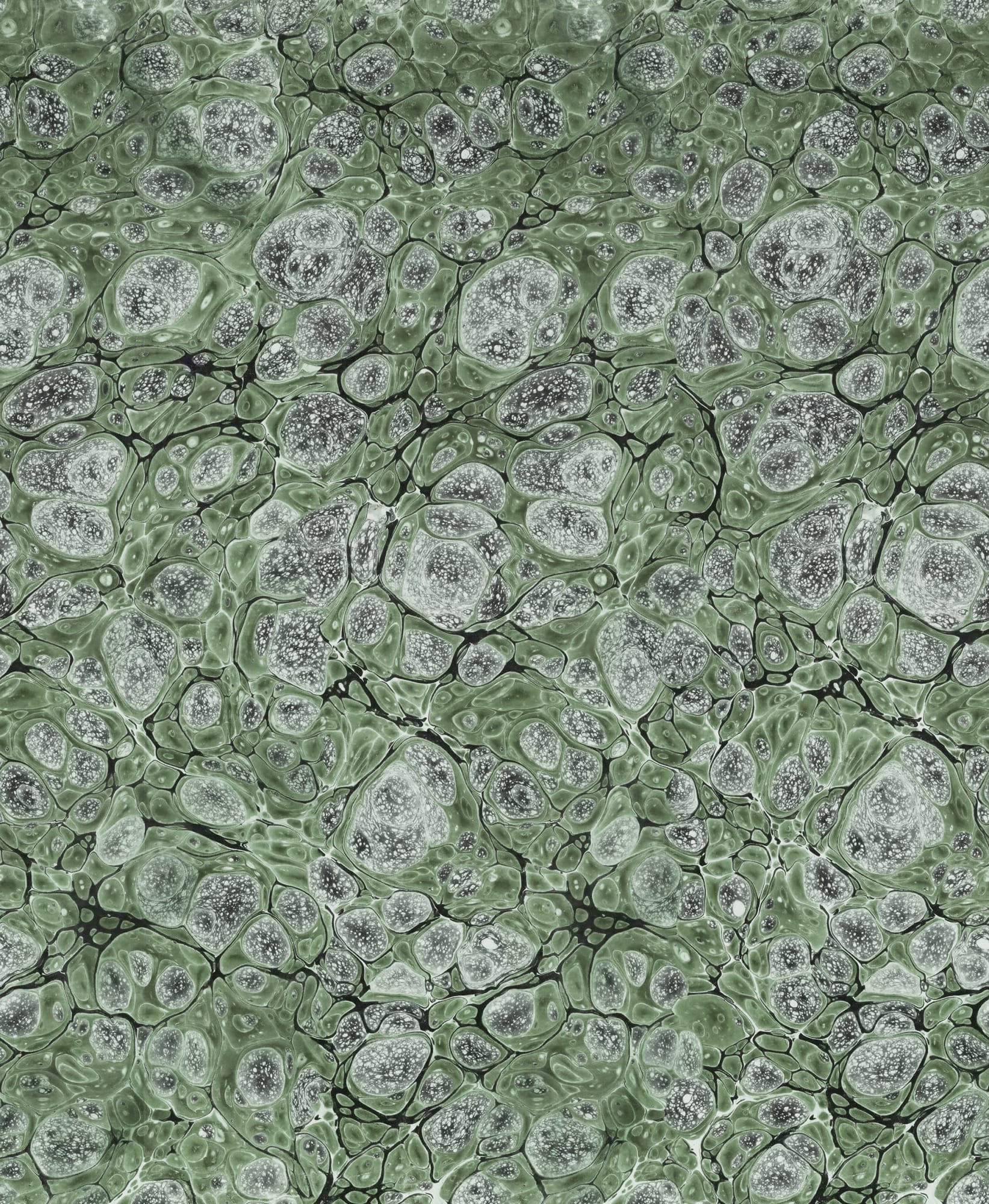 rbwr18789-3