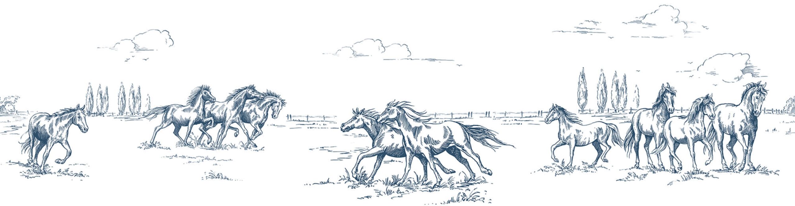 rbwr18902-2
