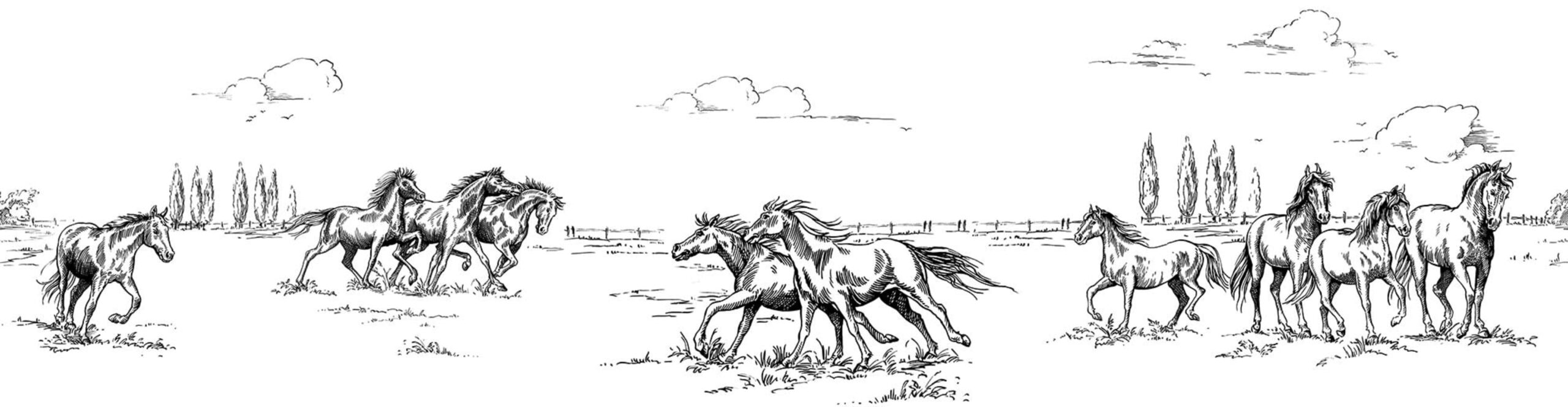 rbwr18903-2