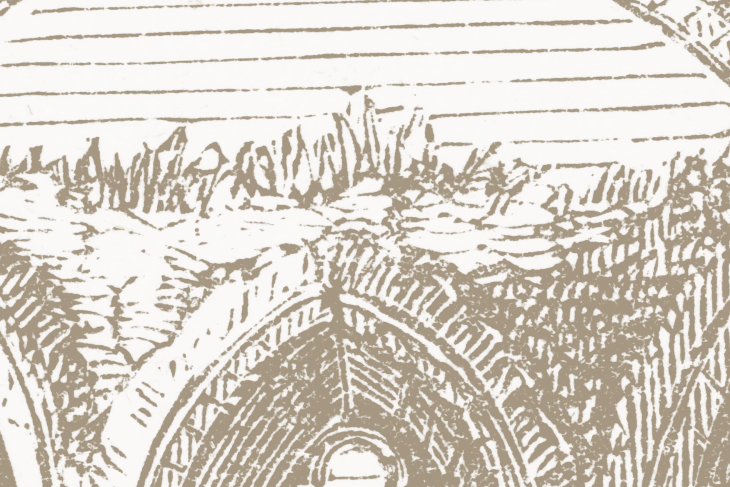 rbwr19222-4