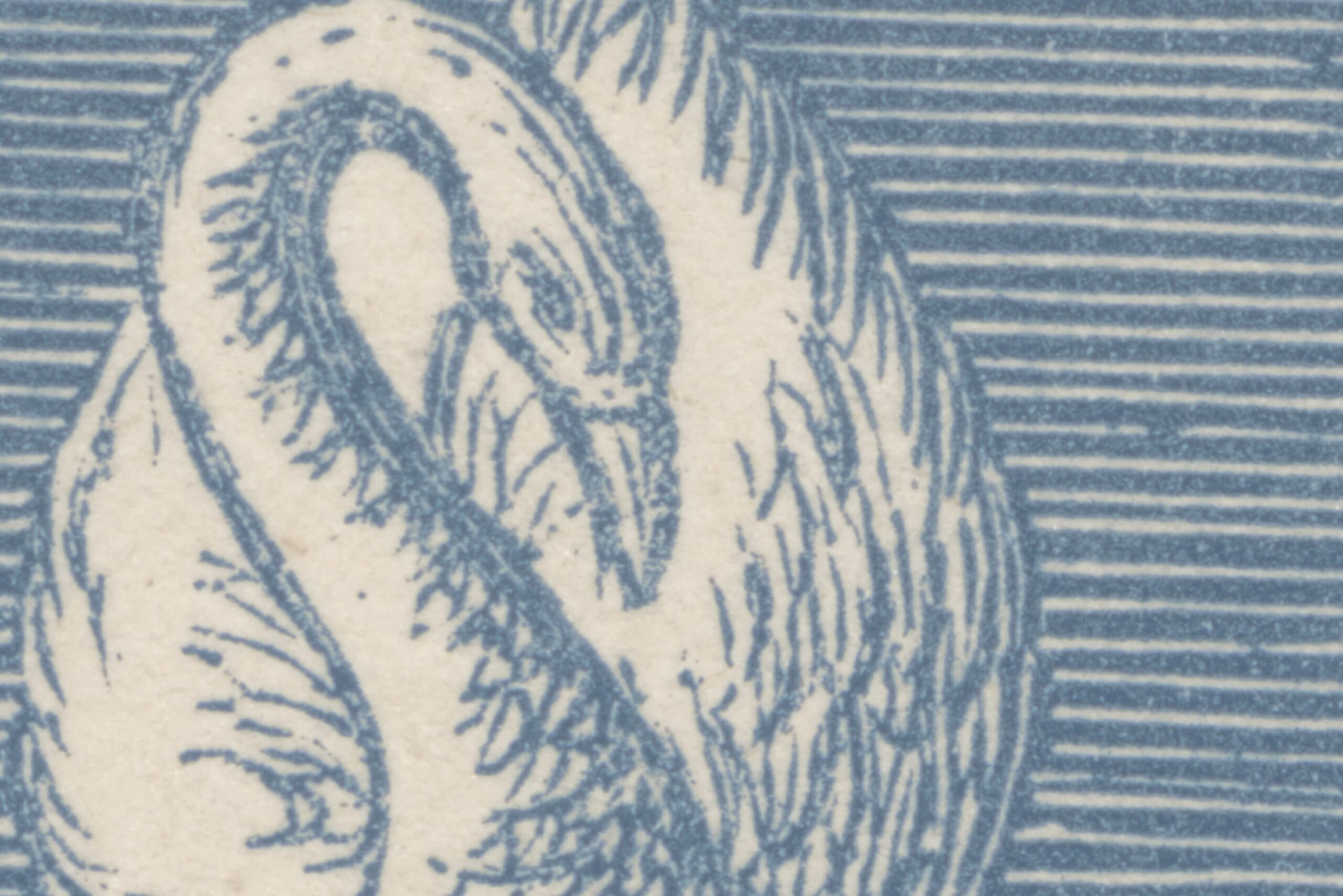 rbwr19225-4