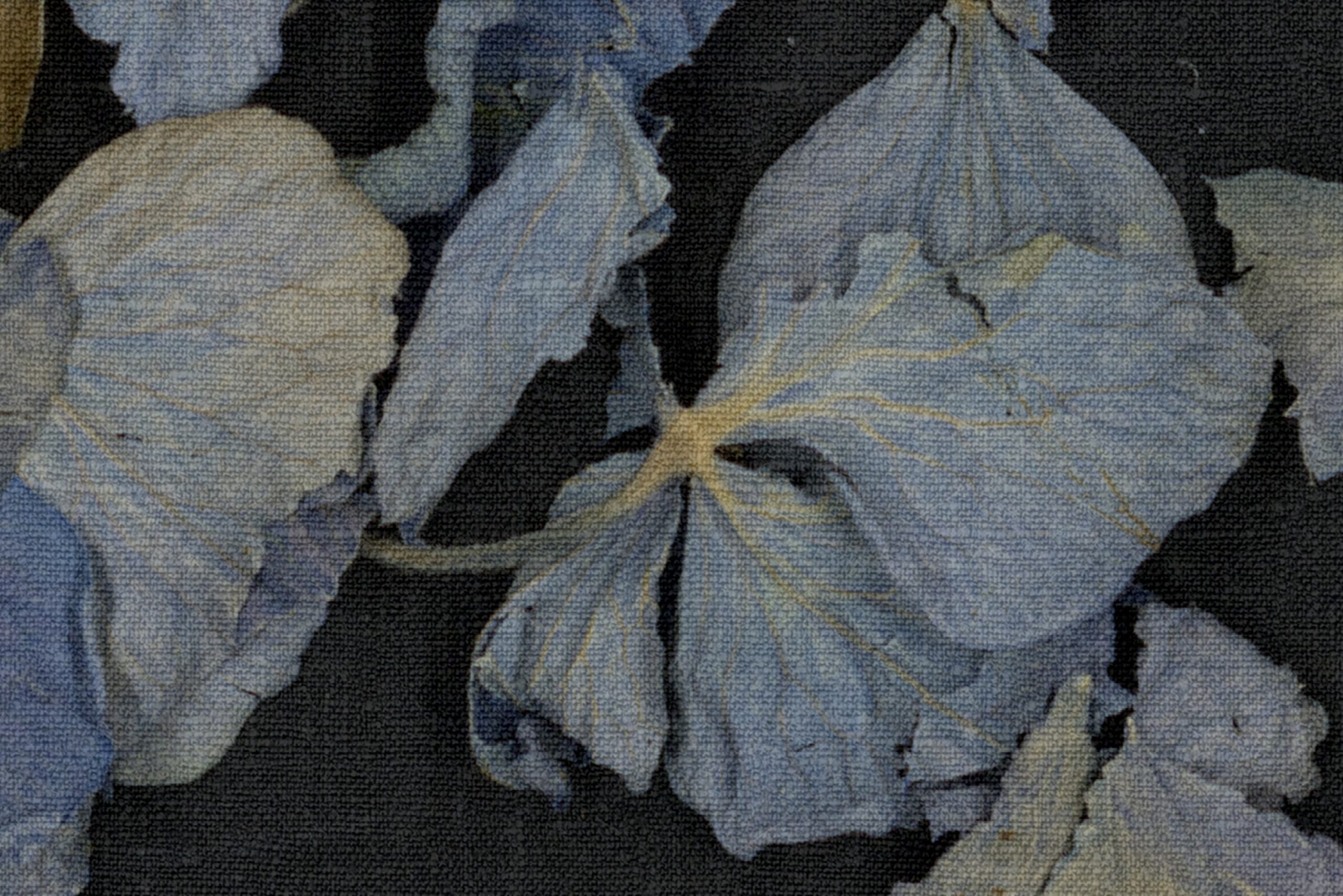 rbwr19297-4