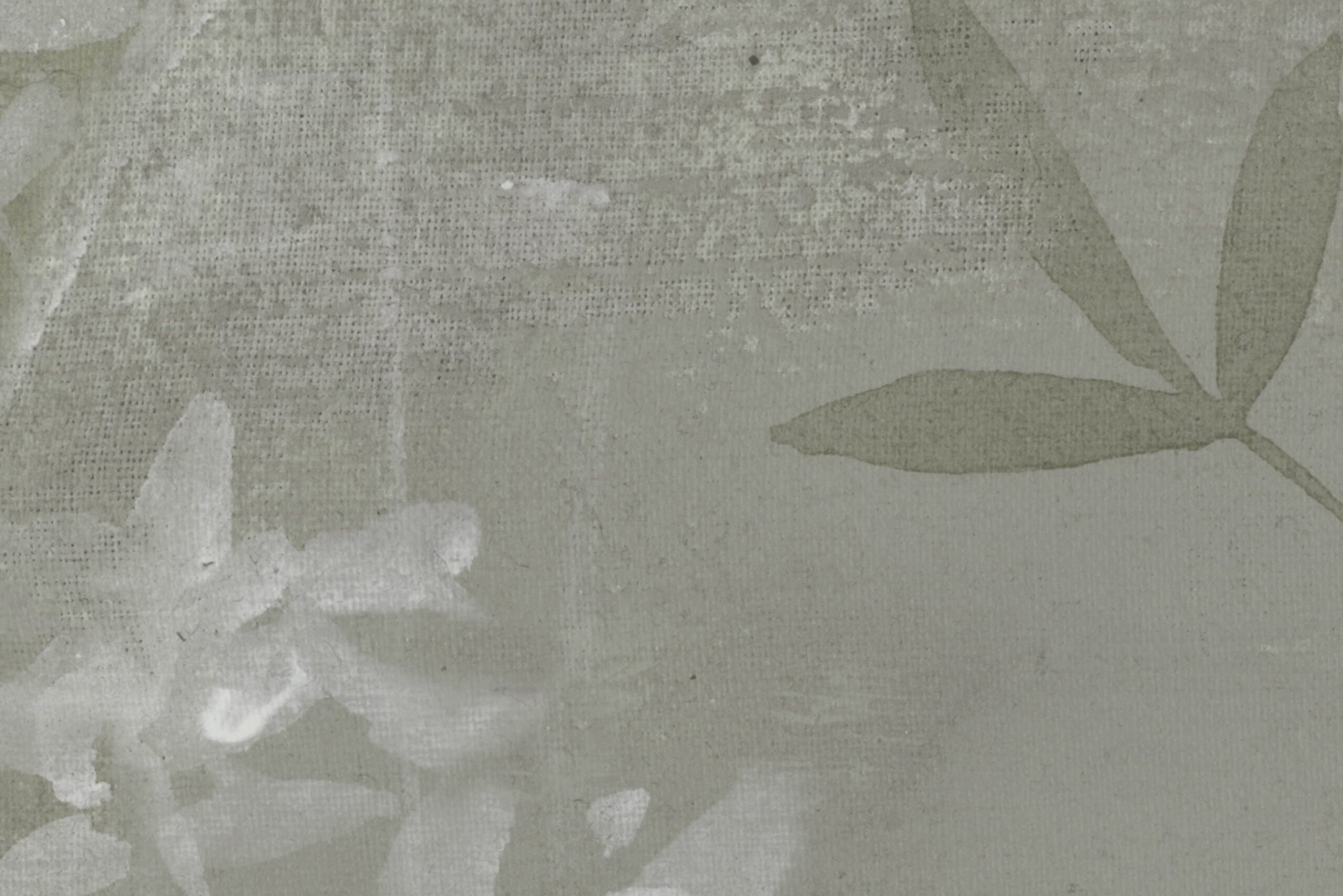 rbwr19305-5