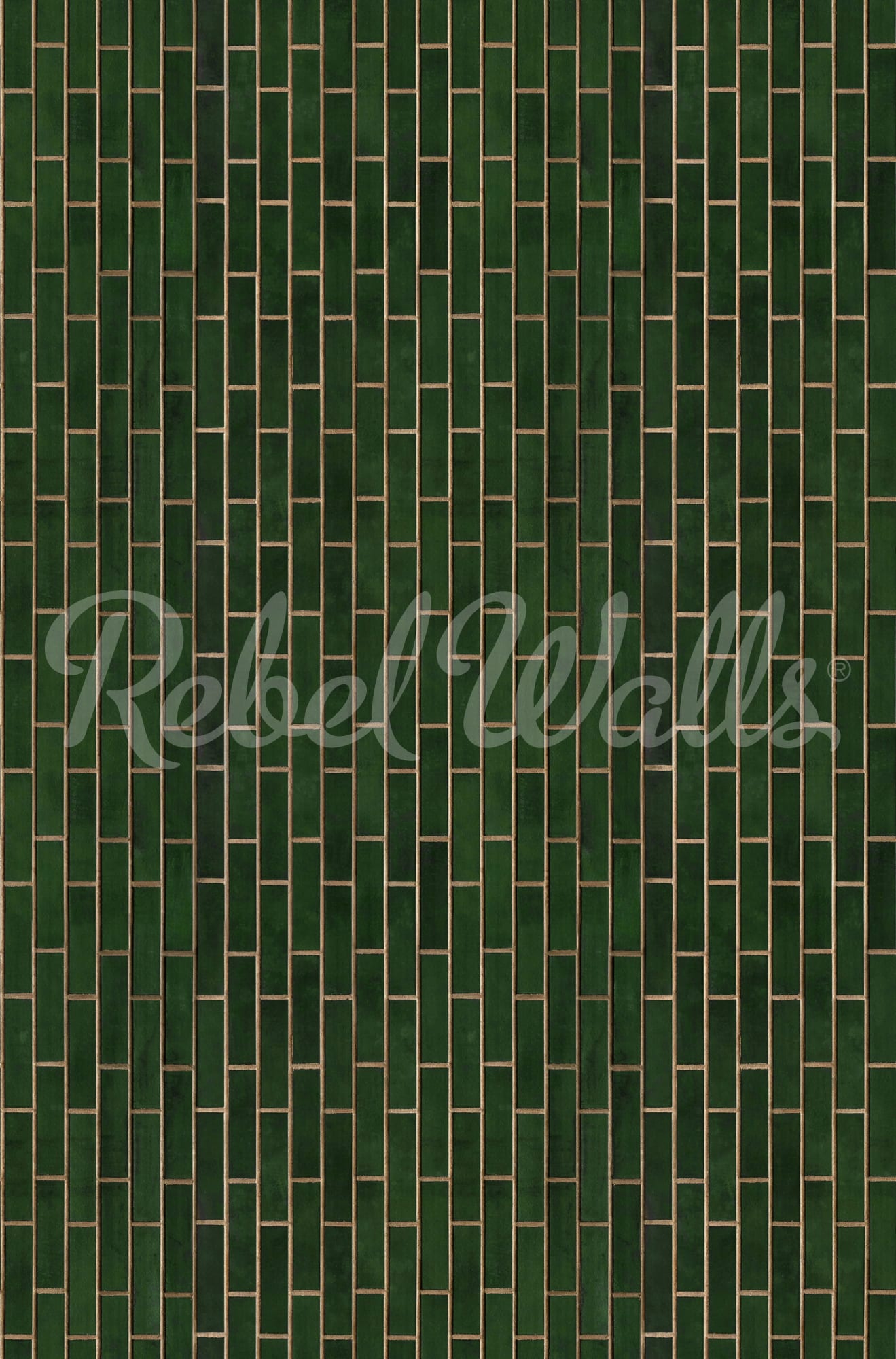 rbwr19629-2