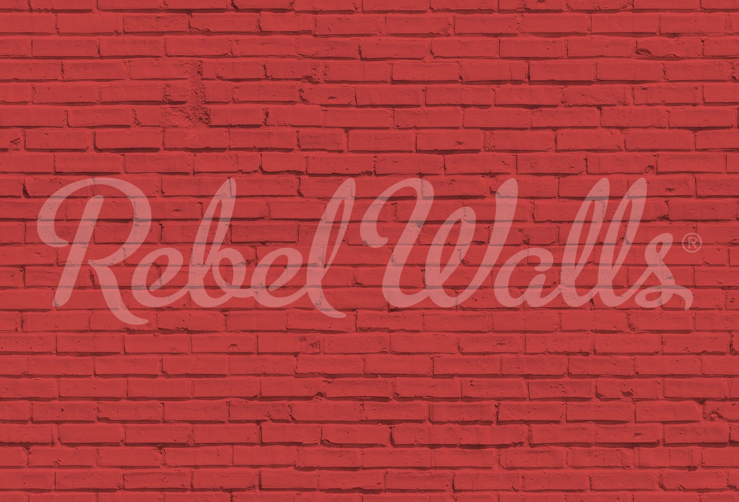 rbwr19635-2