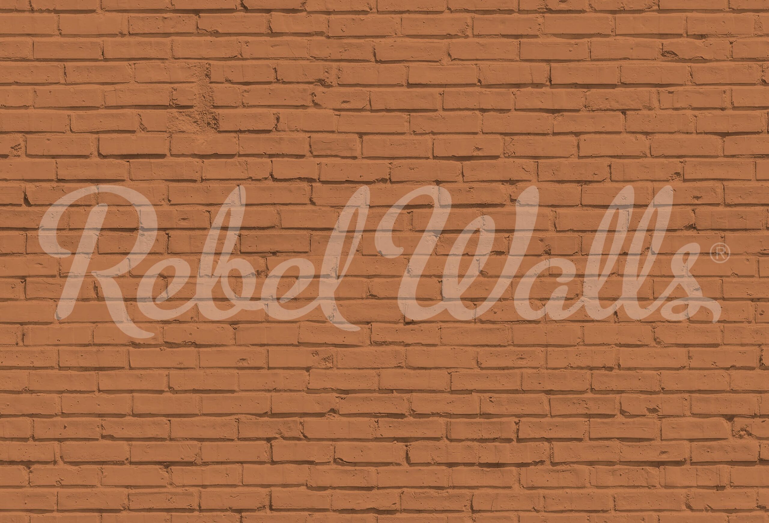 rbwr19636-2