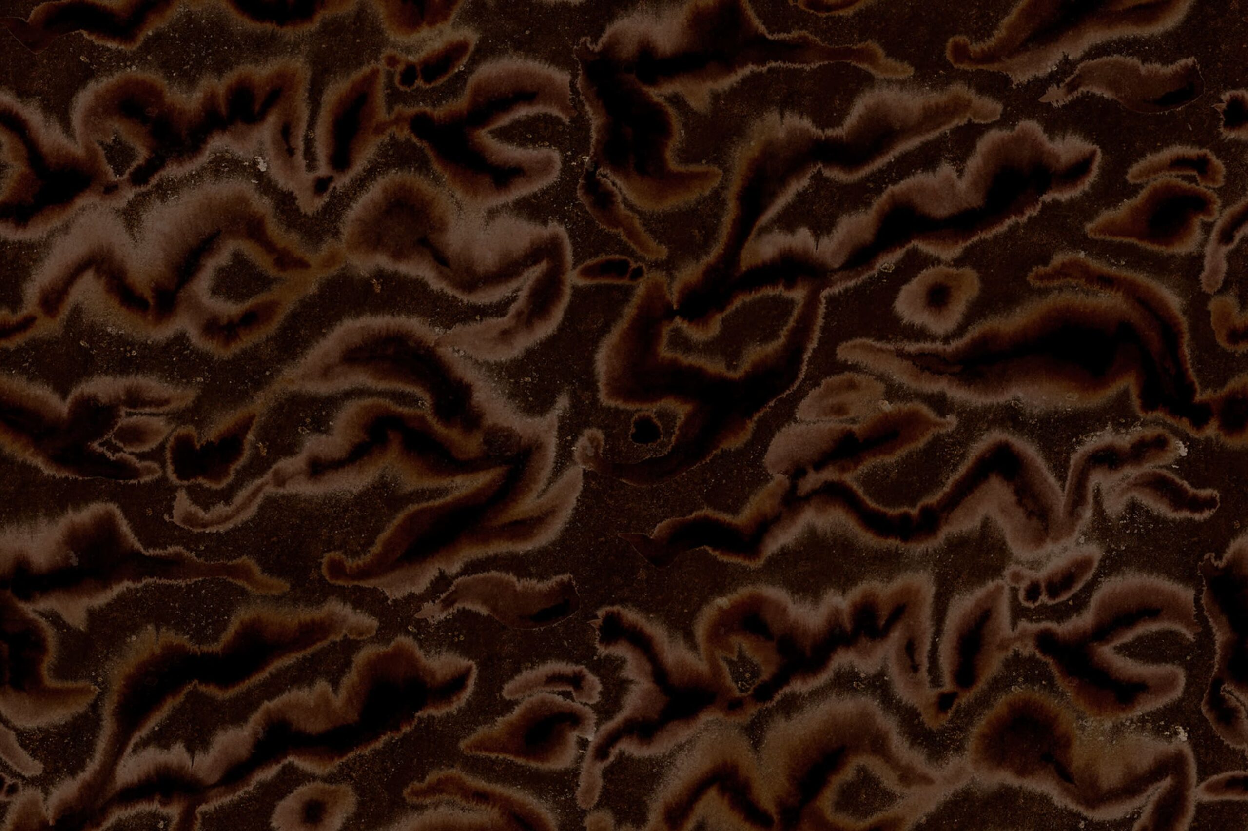 rbwr19829-4