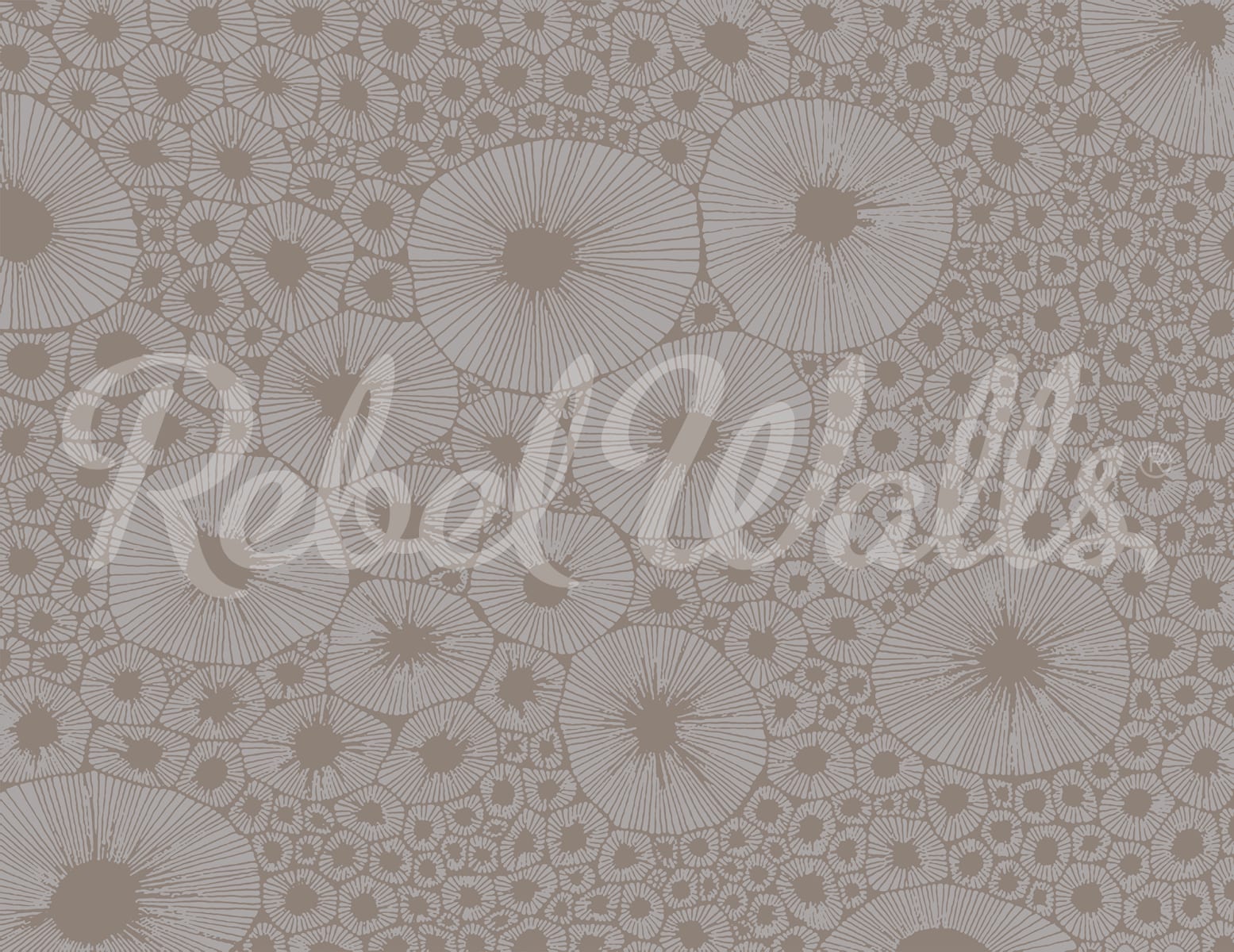 rbwr20282-2