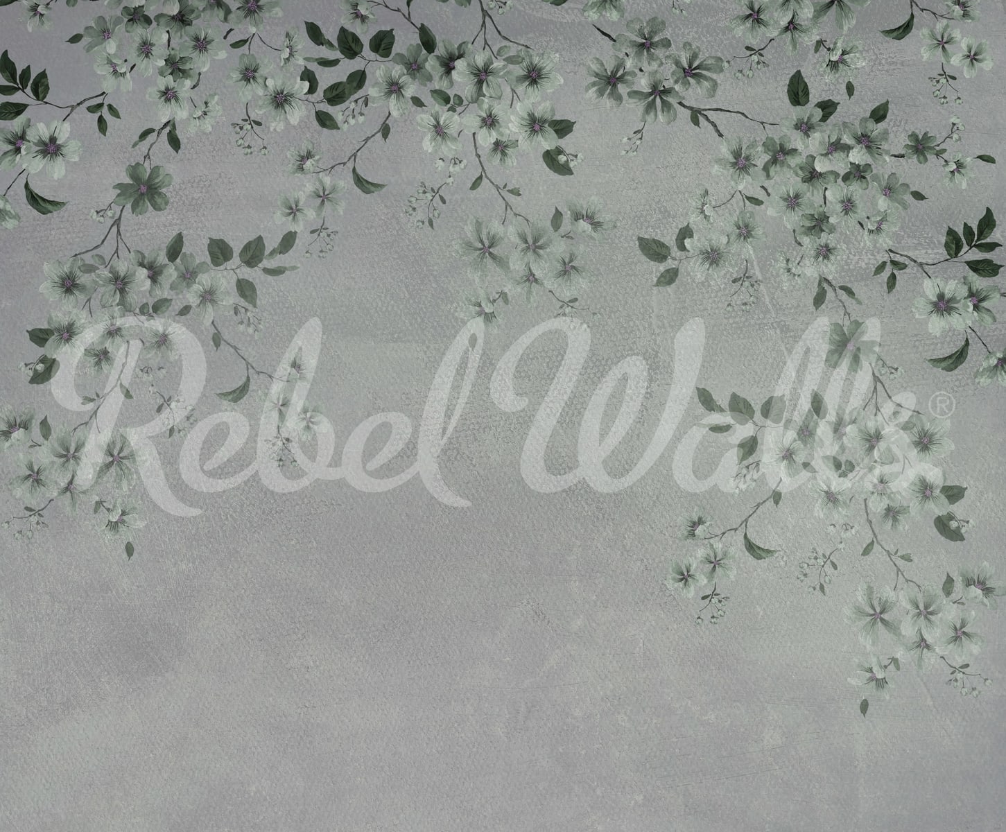 rbwr20318-2