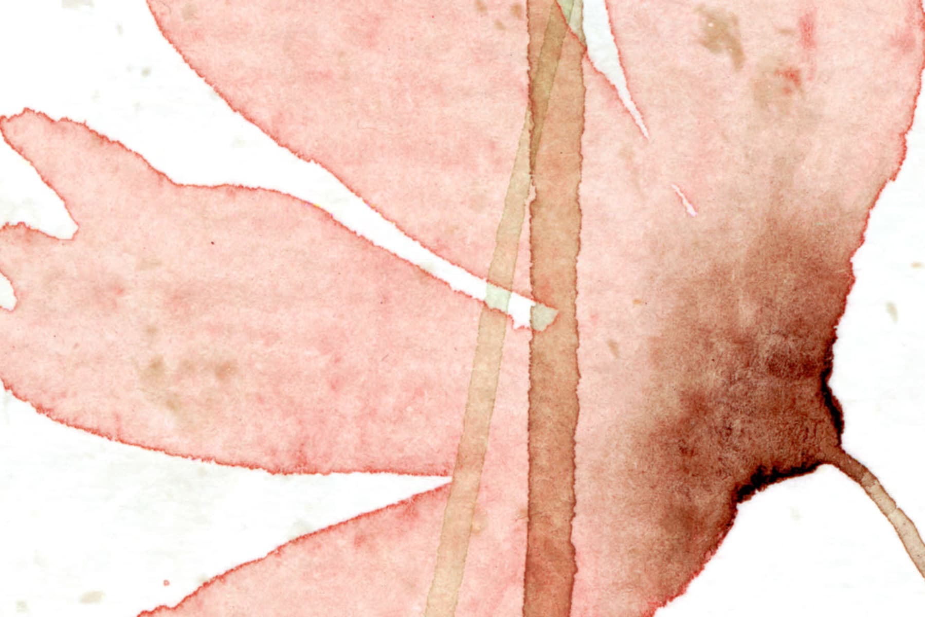 rbwr20351-4