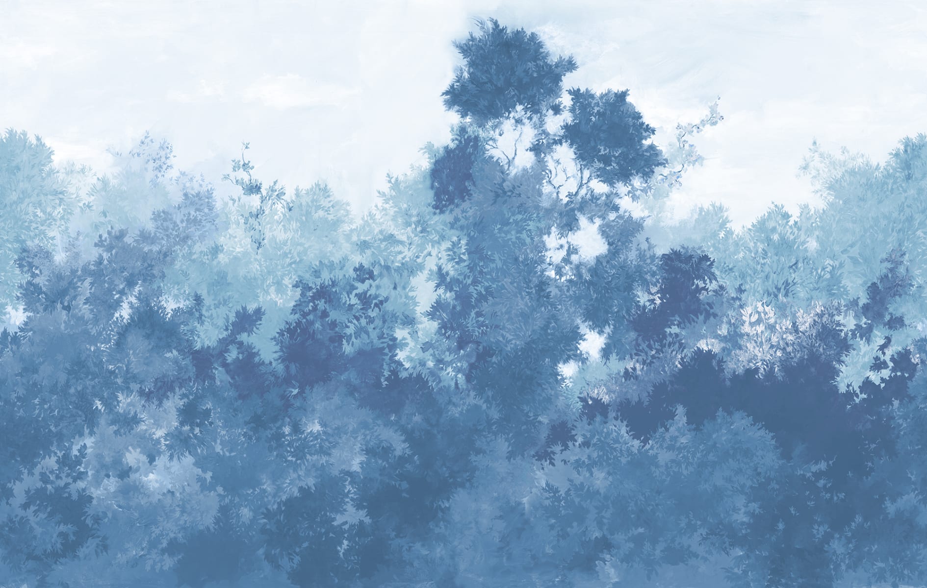 rbwr20458-2