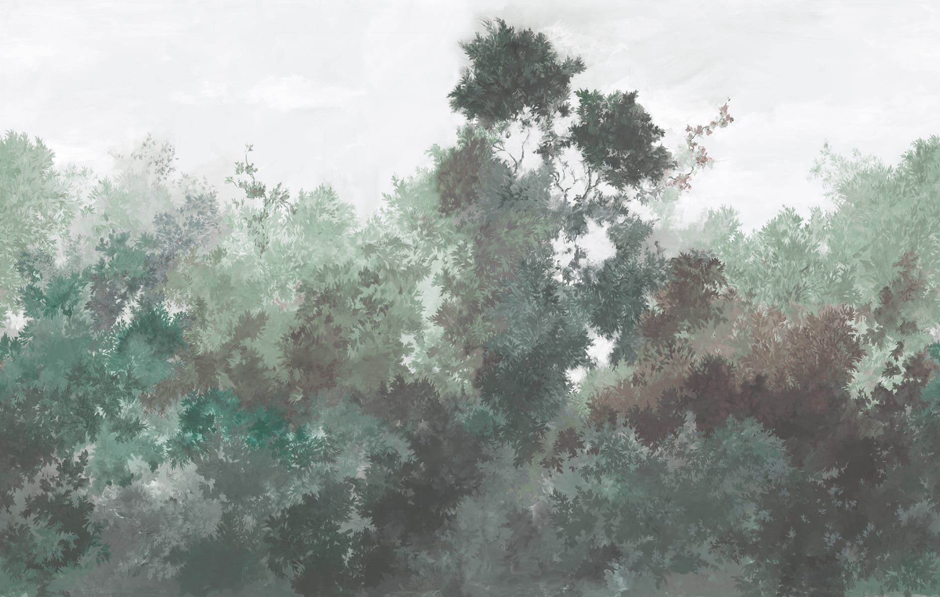 rbwr20459-2