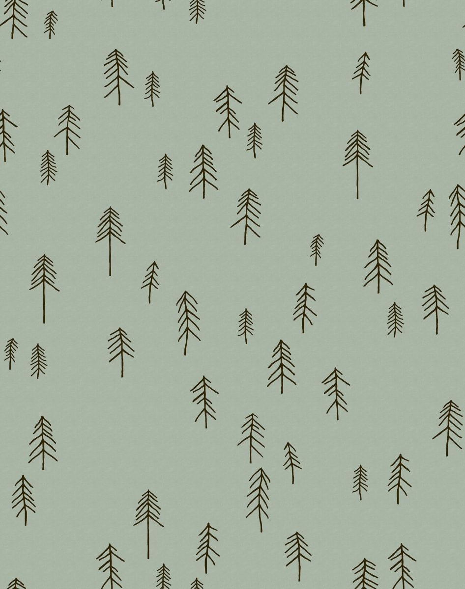 rbwr20636-2