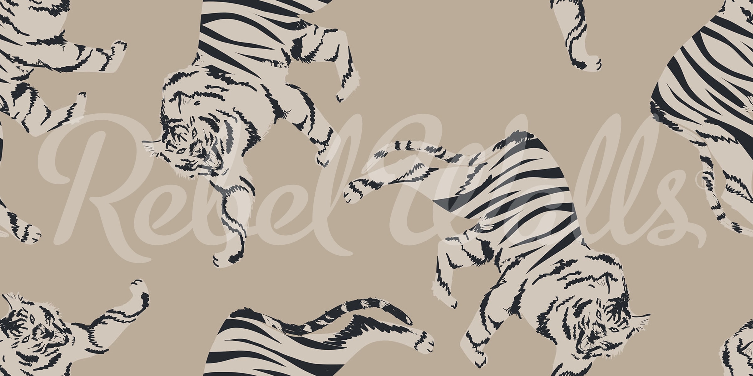 rbwr20643-2