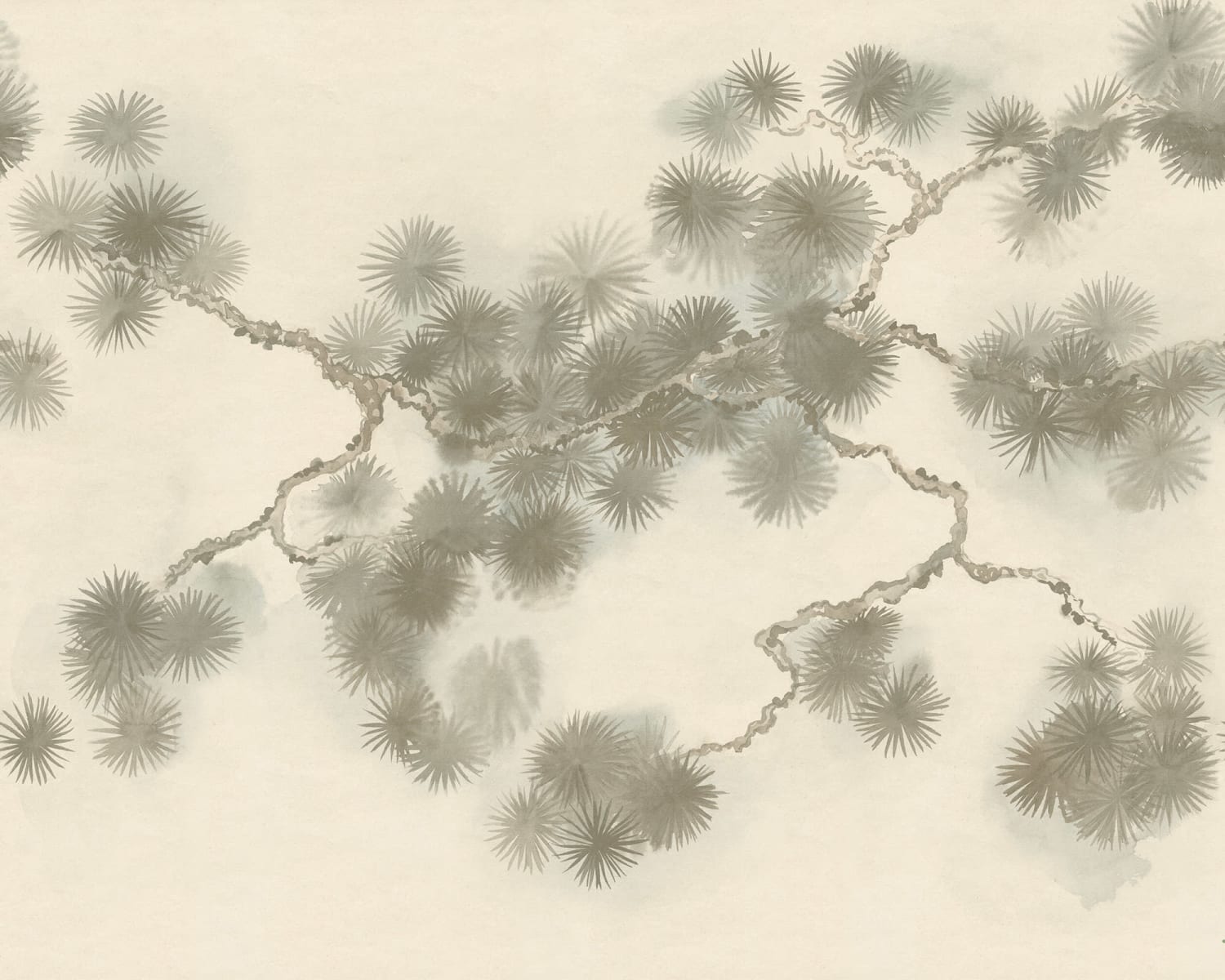 rbwr20829-2