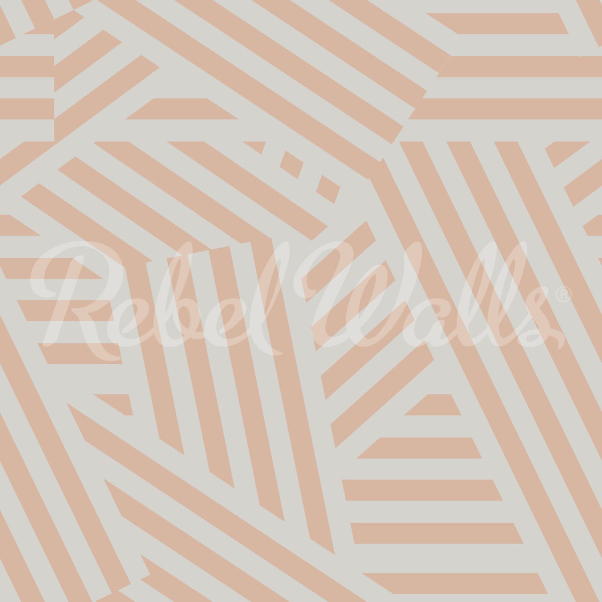 rbwr20929-2