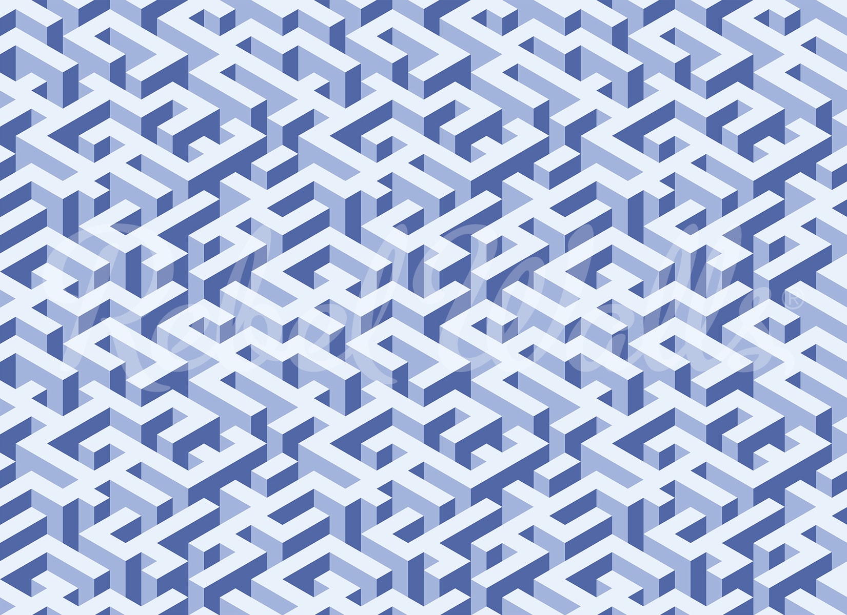 rbwr20954-2
