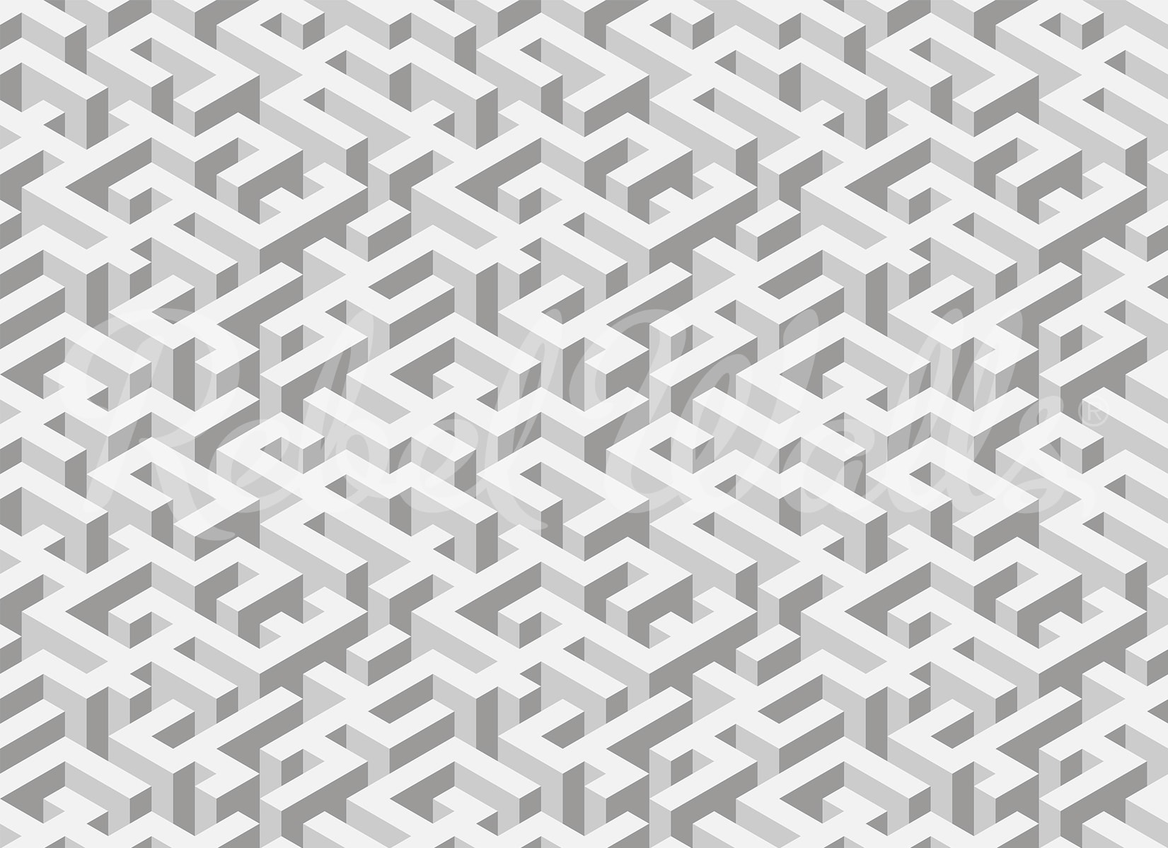 rbwr20956-2
