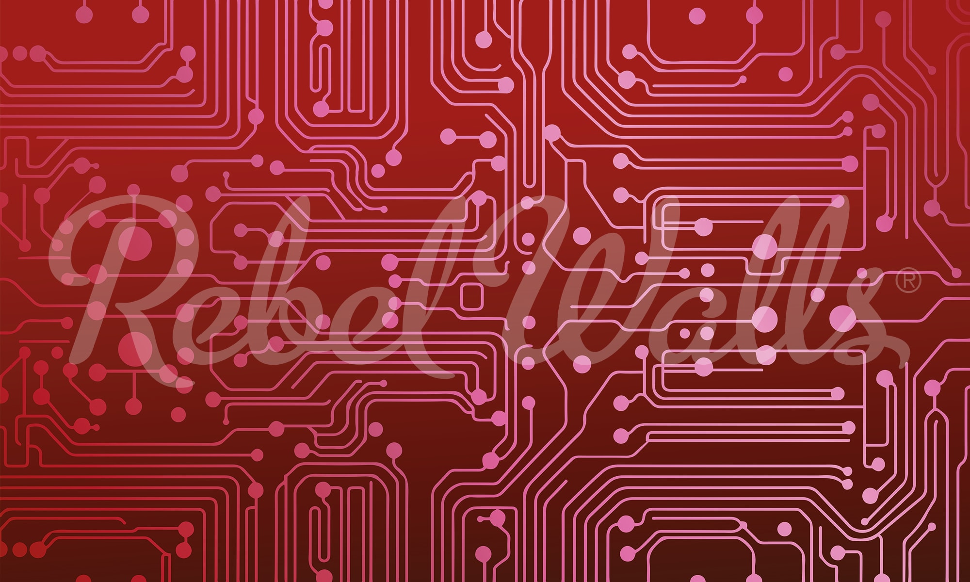 rbwr20964-2