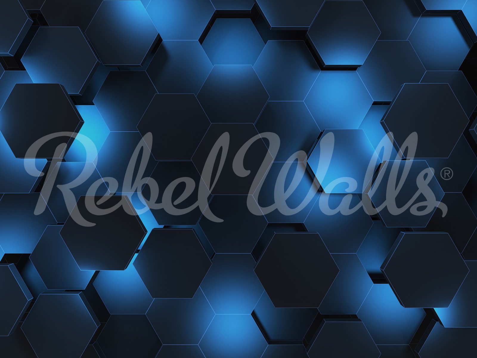 rbwr21051-2