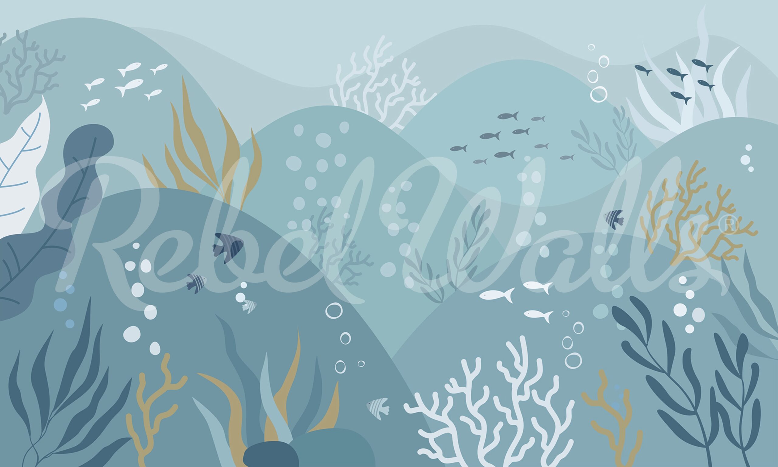 rbwr21069-2