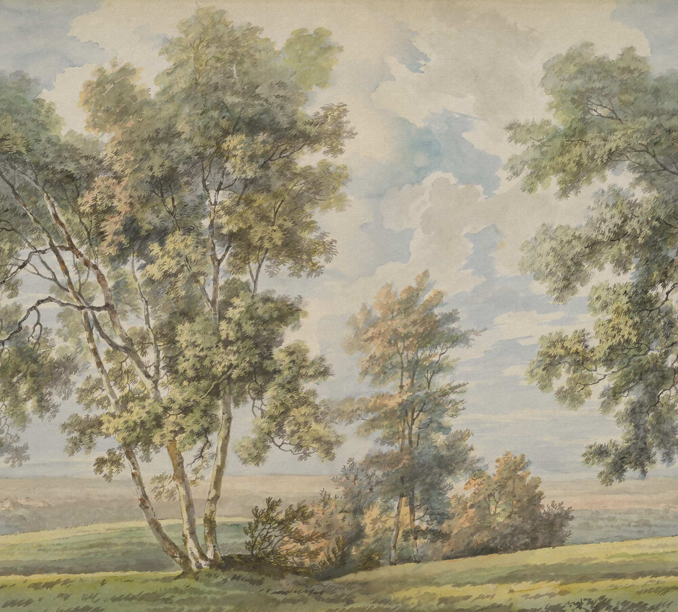 rbwr21541-2