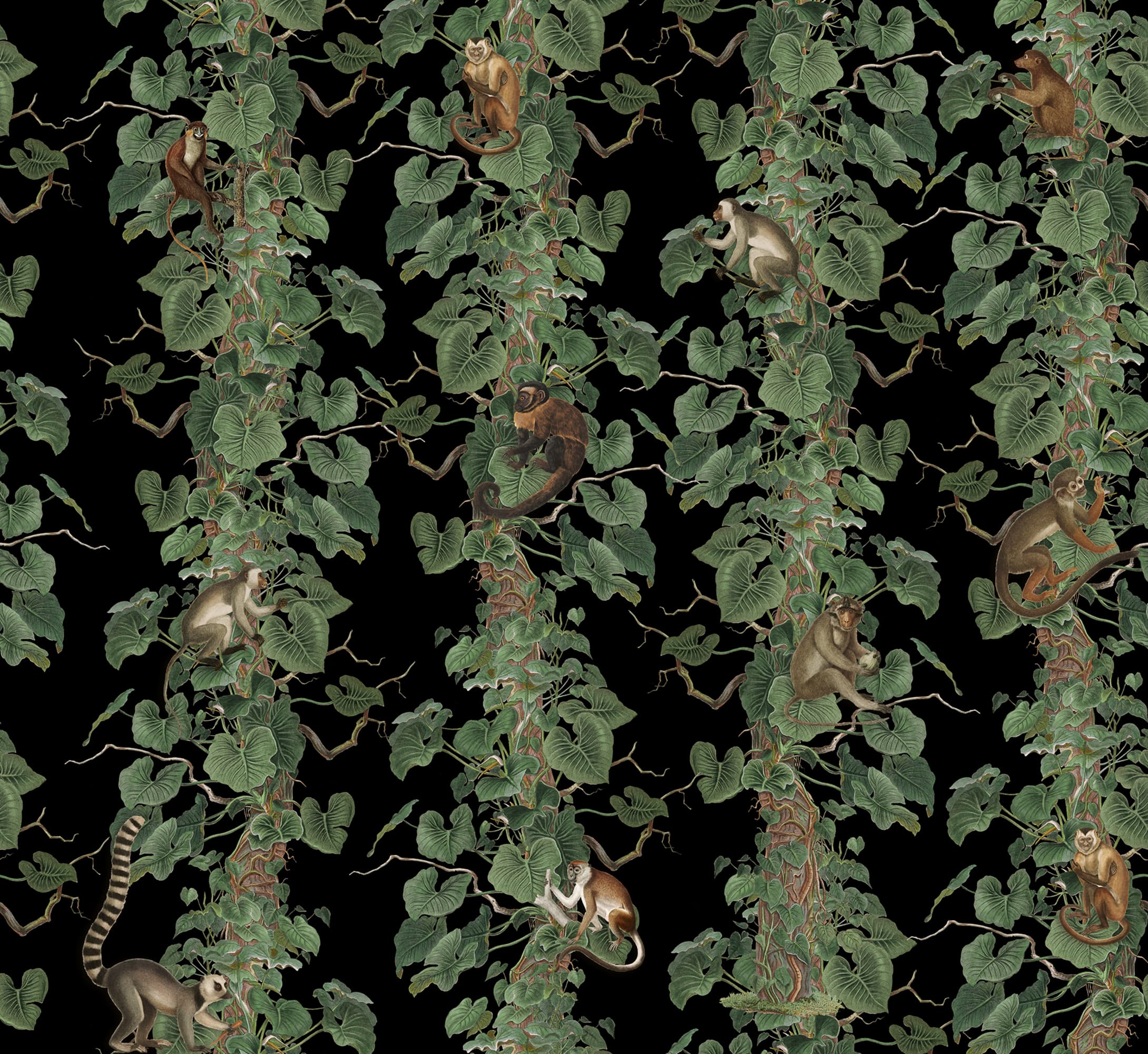 rbwr22112-2