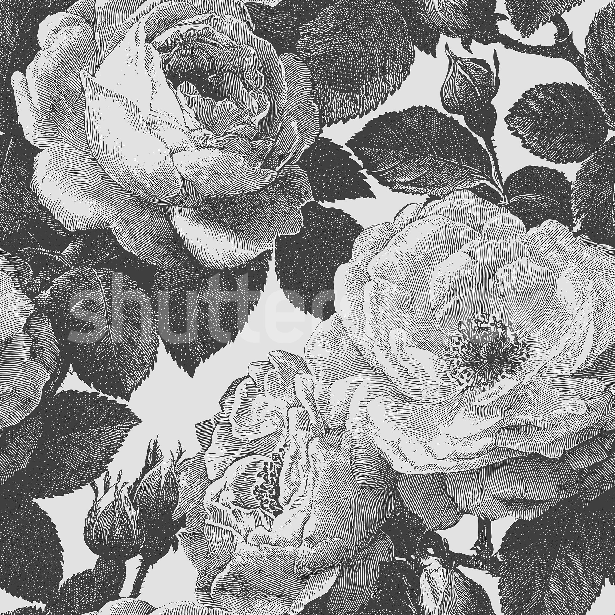 rbwr22393-2
