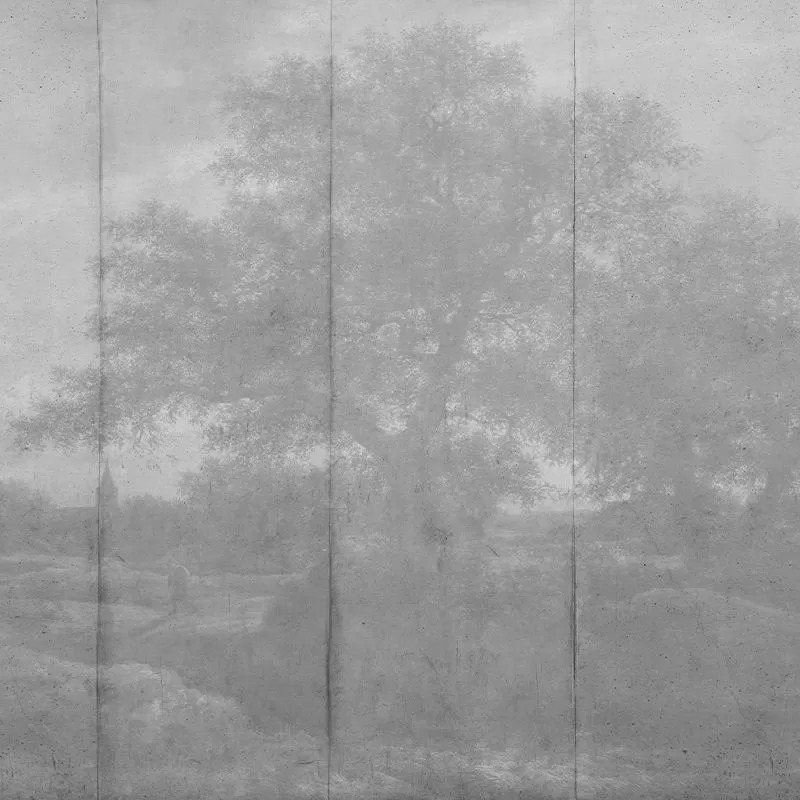 tapet-Countryside-gray-tapet-personalizat-vladila