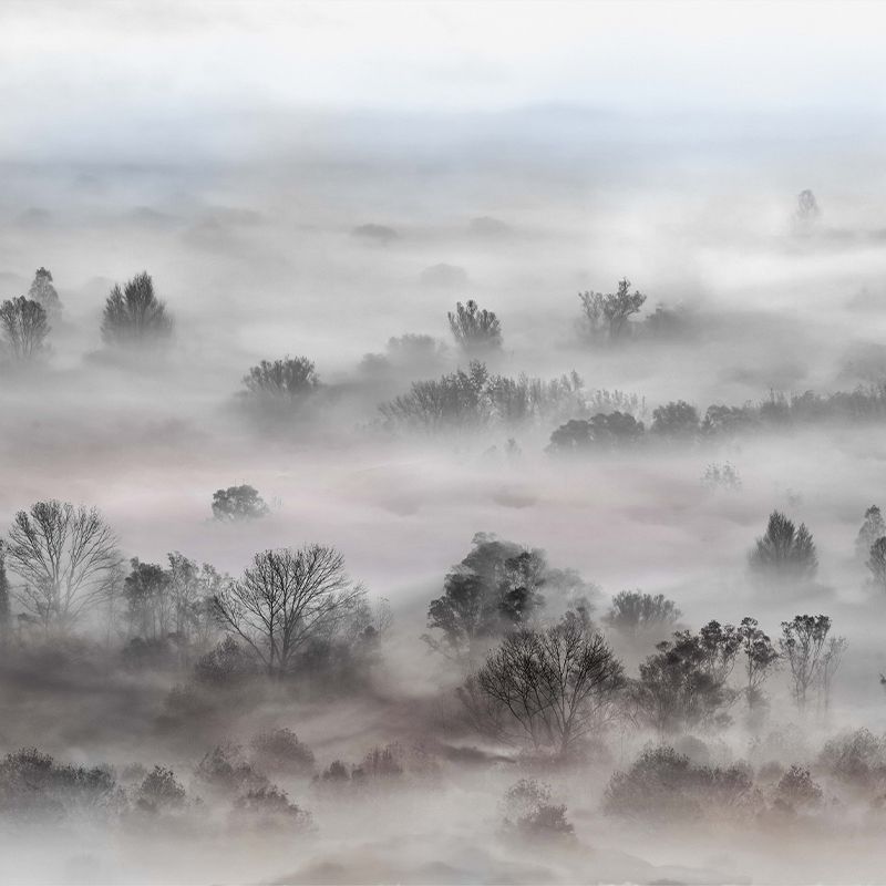 tapet-Foggy-Landscape-Pastels-vladila