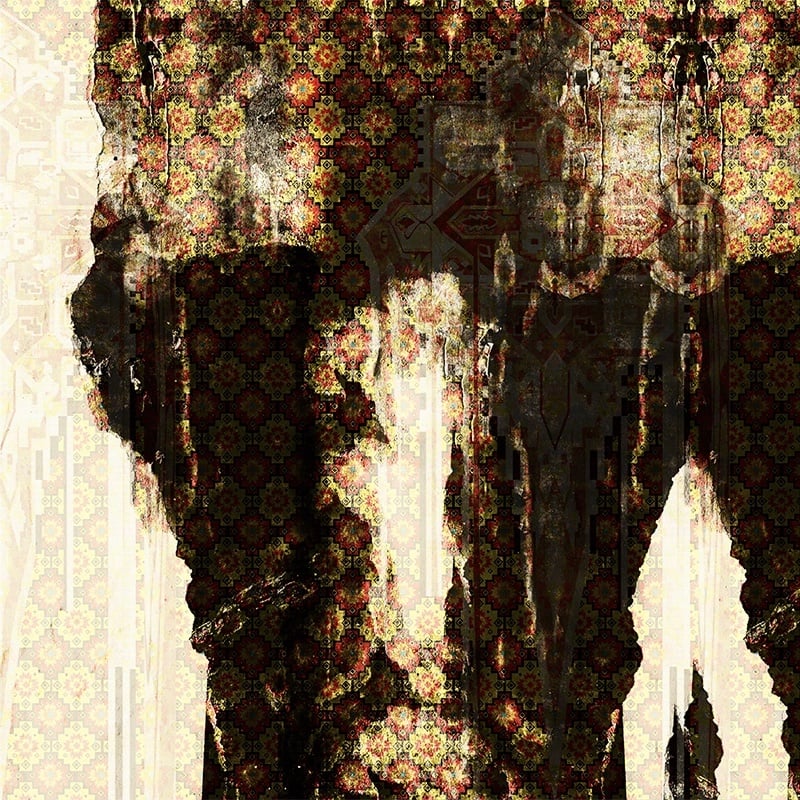tapet-arta-hibrida-ii42513