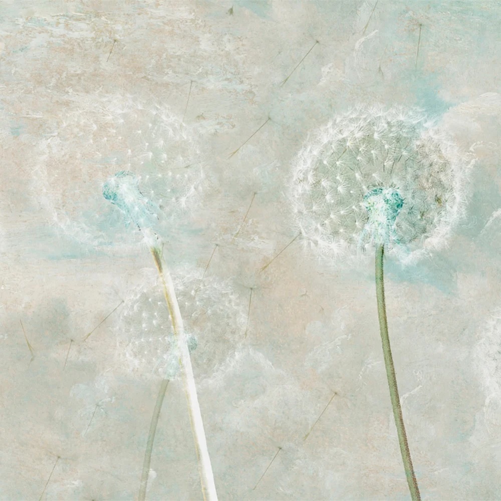 tapet-dandelion-whisper692664