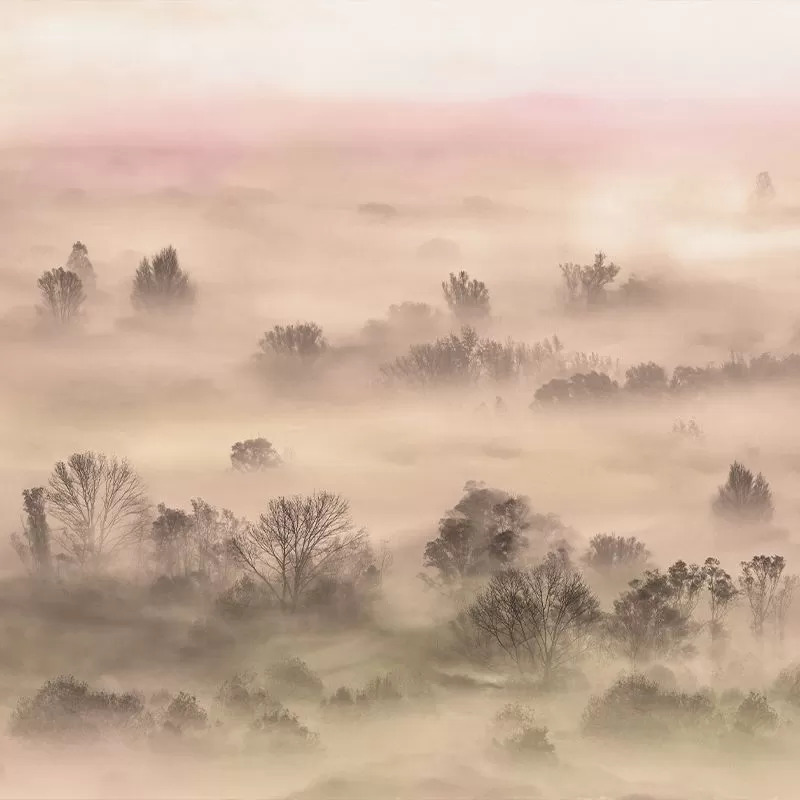 tapet-foggy-Landscape-Peach-vladila