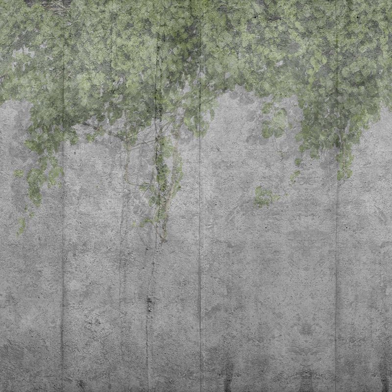 tapet-personalizat-Concrete-Vine-vladila